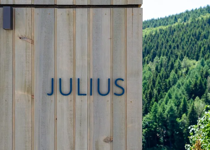 Holiday home Sauerland - Haus Julius